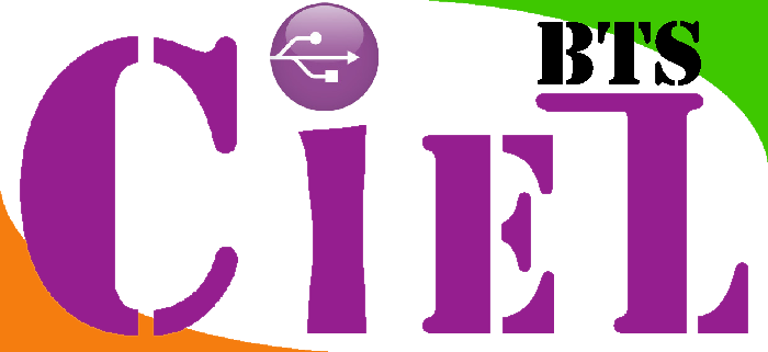  BTS  CIEL Informatique Réseaux